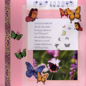 Papillons (page de gauche)